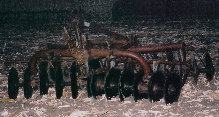 auctions013001.jpg