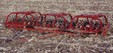 auctions013004.jpg