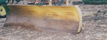 auctions013007.jpg
