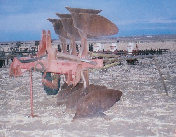 jm_alb_file024005.jpg