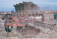 jm_alb_file024006.jpg